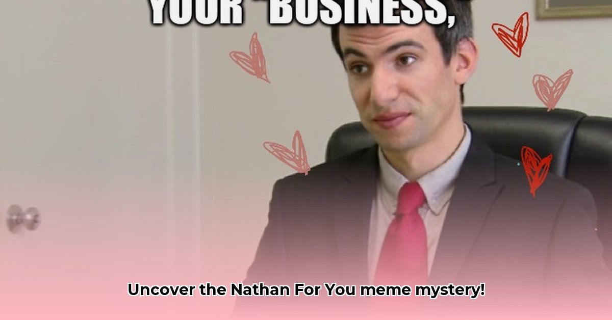 nathan-for-you-meme
